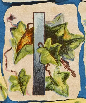 19th Century Floral Art Drucke: FLOWER I