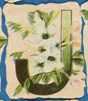 FLOWER J