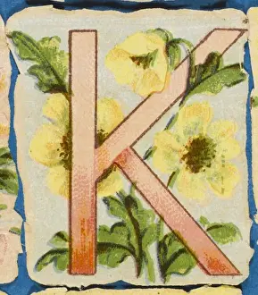 Vintage Floral Art Drucke: FLOWER K