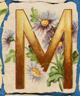 Vintage Floral Art Drucke: FLOWER M