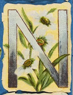 Floral Watercolour Paintings Drucke: FLOWER N