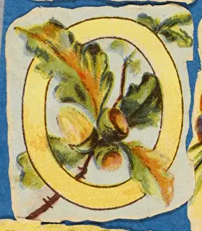 Vintage Floral Art Drucke: FLOWER O