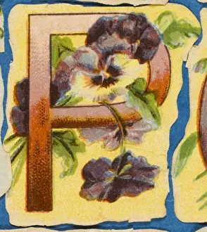 Botanical Garden Art Prints Drucke: FLOWER P