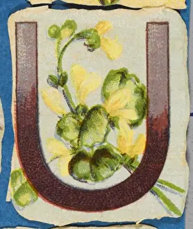 Vintage Floral Art Drucke: FLOWER U