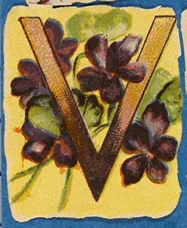 Flower Still Life Paintings Drucke: FLOWER V
