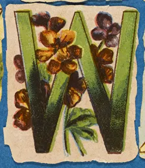 Vintage Floral Art Drucke: FLOWER W