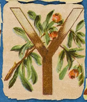 Vintage Floral Art Drucke: FLOWER Y