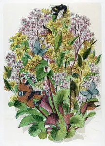 Botanisch Drucke: Londonschwarz und gold, Roth (oder) Rot