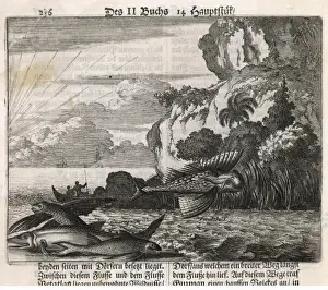 Historical Marine Life Drucke: Flying Fish / De Bry