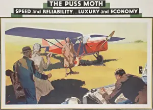 Fliegendes Plakat Die Katzenmotte