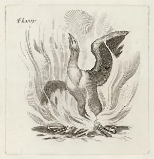 Völkergeschichte / Vögel / Phönix
