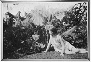 Fairy Folklore Images Drucke: Folklore / Fairies
