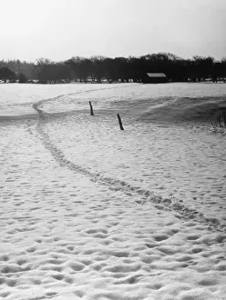 Fußspuren im Schnee