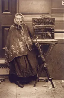 Historical Paranormal Images Drucke: Fortune Teller & Bird