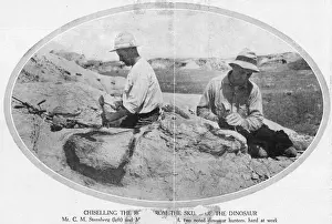 Dinosaur Fossils Drucke: Fossils / Palaeontologists