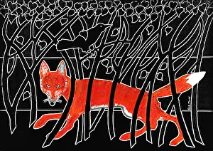 Fuchs und Schwarzwasserfisch