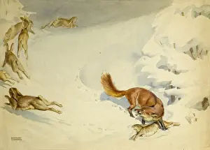 Wild Animal Predator Drucke: Fox chasing rabbits