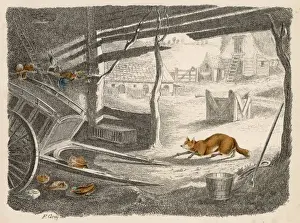 Fuchs im Stall 1847
