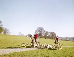 Fox Hunting In England Drucke: FOX HUNT