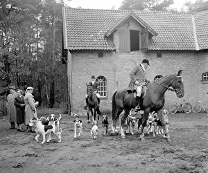 Fox Hunting Drucke: Fox hunting