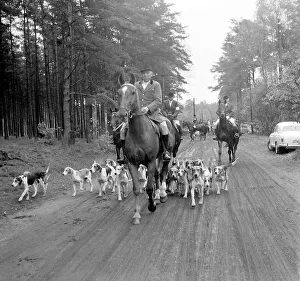 German Countryside Scenes Drucke: Fox hunting