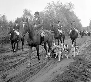 Vintage Fox Hunting Images Drucke: Fox hunting