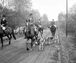 Equestrian Sports Pictures Drucke: Fox hunting