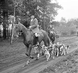 Vintage Fox Hunting Images Drucke: Fox hunting
