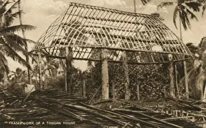 Pacific Island Architecture Drucke: Framework of a Tongan House