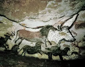 Prehistoric Cave Paintings Drucke: FRANCE