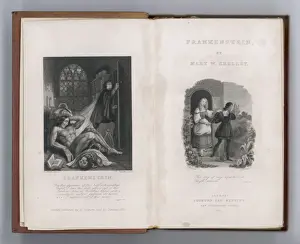 Vintage Literary Artwork Drucke: Frankenstein