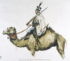 18th Century Military History Drucke: French Camel Corps 1798