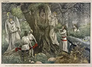 Französische Druiden