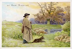 19th Century Agriculture Drucke: French Shepherd