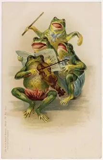 Käferkantone / um 1899