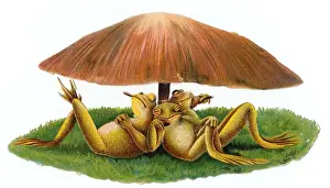Late 19th Century Illustrations Drucke: Three frogs under a toadstool on a Victorian scrap