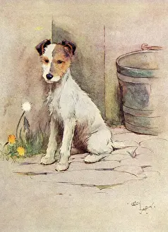 Vorderseiteillustration von Peter, dem Rüdehund
