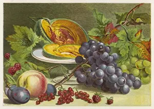 Summer Fruits Drucke: Fruit / Melon, Grapes Etc