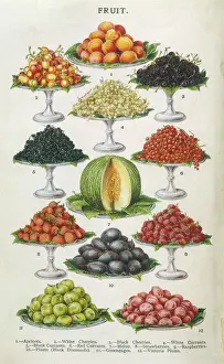 Obst auf Tellern 1907