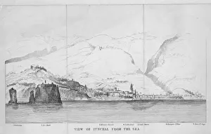 Funchal Madeira Drucke: Funchal Madeira C19Th