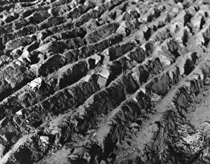 Vintage Farm Equipment UK Drucke: THE FURROWED EARTH