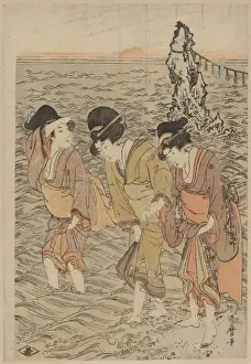 Japanese Coastal Scenery Drucke: Futamigaura