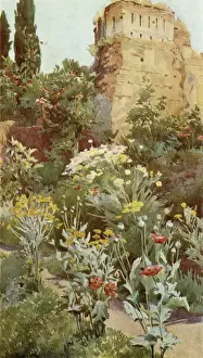 Im Garten von Alhambra