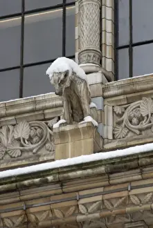 Drucke von Eines der vielen Gargöyen Alfred Waterhouse Drucke: Gargoyle