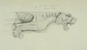 Natural History Museum Interior Drucke: Gargoyle design