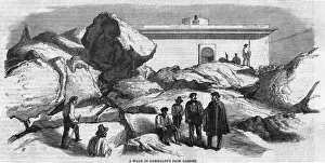 Italian History Figures Drucke: Garibaldi at Caprera - 2