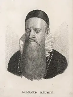 16th Century Scientist Drucke: Gaspard Bauhin