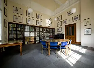 Natural History Museum Interior Drucke: The Gavin De Beer room