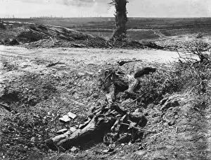 WW 1 Historical Images Drucke: German casualty