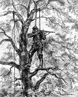 Drucke von Illumination zeichnet einen deutschen Schützen darin ab, der im Baum hängt und mit einem Parachuteschlauch befestigt ist; er zielt auf nahegelegene alliierte Truppen Schlacht In Der Normandie (D-Day) Drucke: Deutscher Schütze im Baum, Normandie, 1944